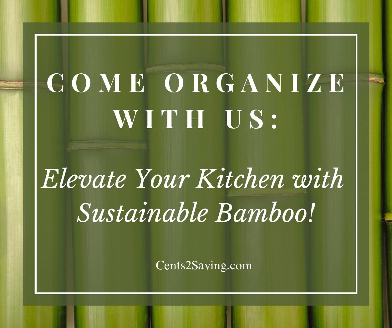 Come Organize with Us: Elevate Your Kitchen with Sustainable Bamboo!